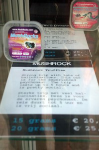 MushrocksShrooms